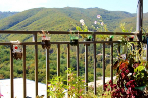 New House Signagi, Sighnaghi